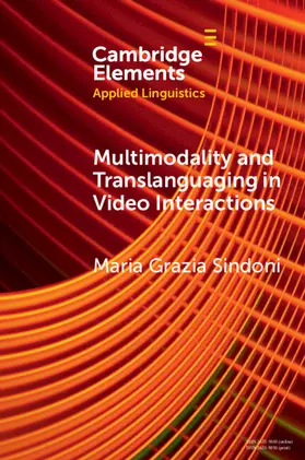 Sindoni |  Multimodality and Translanguaging in Video Interactions | Buch |  Sack Fachmedien