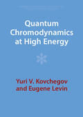 Kovchegov / Levin |  Quantum Chromodynamics at High Energy | Buch |  Sack Fachmedien