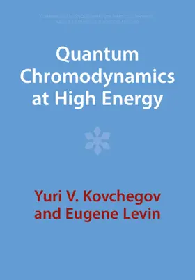 Kovchegov / Levin |  Quantum Chromodynamics at High Energy | Buch |  Sack Fachmedien