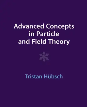 Hübsch |  Advanced Concepts in Particle and Field Theory | Buch |  Sack Fachmedien