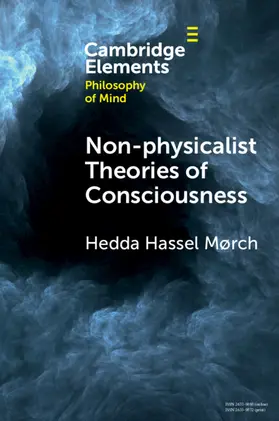 Mørch |  Non-physicalist Theories of Consciousness | Buch |  Sack Fachmedien