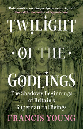 Young | Twilight of the Godlings | Buch | 978-1-00-933036-7 | sack.de