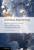 Palmer |  Natural Perception | Buch |  Sack Fachmedien