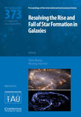 Wong / Kim |  Resolving the Rise and Fall of Star Formation in Galaxies (Iau S373) | Buch |  Sack Fachmedien