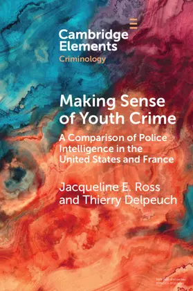 Ross / Delpeuch |  Making Sense of Youth Crime | Buch |  Sack Fachmedien