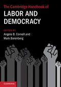 Barenberg / Cornell |  The Cambridge Handbook of Labor and Democracy | Buch |  Sack Fachmedien