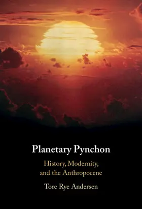 Andersen |  Planetary Pynchon | Buch |  Sack Fachmedien