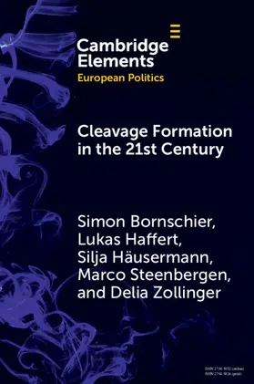 Bornschier / Haffert / Häusermann |  Cleavage Formation in the 21st Century | Buch |  Sack Fachmedien