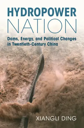 Ding |  Hydropower Nation | Buch |  Sack Fachmedien