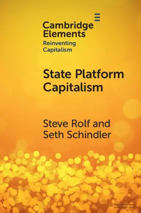 Schindler / Rolf |  State Platform Capitalism | Buch |  Sack Fachmedien