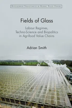 Smith |  Fields of Glass | Buch |  Sack Fachmedien