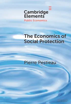 Pestieau |  The Economics of Social Protection | Buch |  Sack Fachmedien