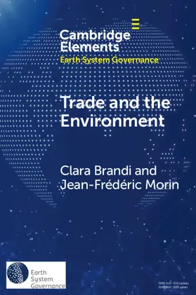 Brandi / Morin |  Trade and the Environment | Buch |  Sack Fachmedien