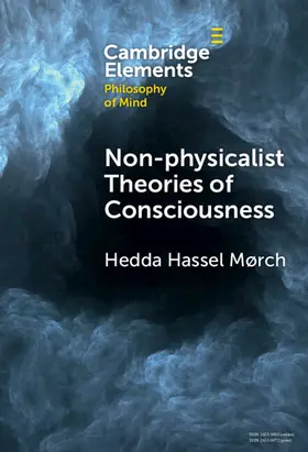 Mørch |  Non-physicalist Theories of Consciousness | Buch |  Sack Fachmedien