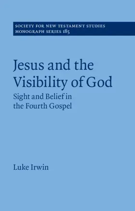 Irwin |  Jesus and the Visibility of God | Buch |  Sack Fachmedien