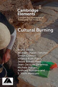 David / Fletcher / Connor |  Cultural Burning | Buch |  Sack Fachmedien
