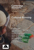 David / Fletcher / Connor |  Cultural Burning | Buch |  Sack Fachmedien