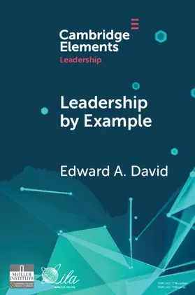 David |  Leadership by Example | Buch |  Sack Fachmedien