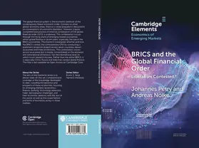 Petry / Nölke |  BRICS and the Global Financial Order | Buch |  Sack Fachmedien