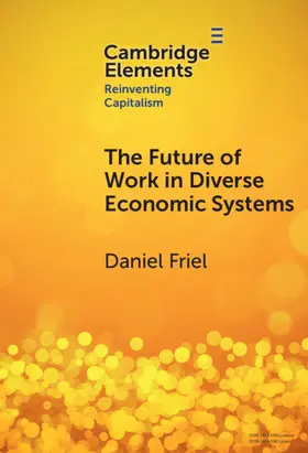 Friel |  The Future of Work in Diverse Economic Systems | Buch |  Sack Fachmedien
