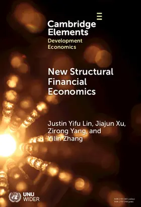 Lin / Xu / Yang |  New Structural Financial Economics | Buch |  Sack Fachmedien