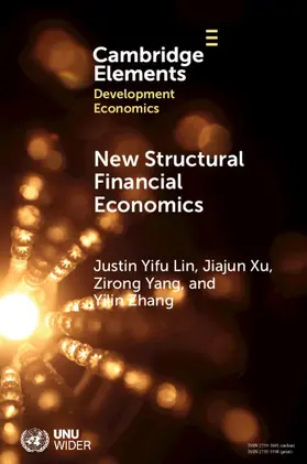 Lin / Xu / Yang |  New Structural Financial Economics | Buch |  Sack Fachmedien