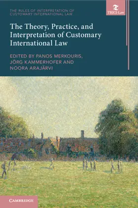 Merkouris / Kammerhofer / Arajärvi |  The Theory, Practice, and Interpretation of Customary International Law | Buch |  Sack Fachmedien