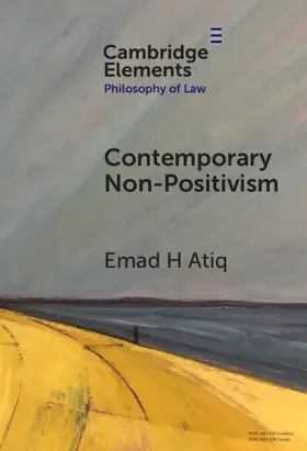 Atiq |  Contemporary Non-Positivism | Buch |  Sack Fachmedien
