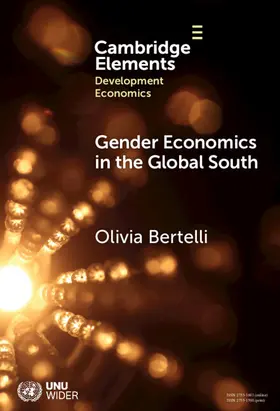 Bertelli |  Gender Economics in the Global South | Buch |  Sack Fachmedien