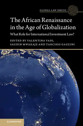 Vadi / Mwakaje / Gazzini |  The African Renaissance in the Age of Globalization | Buch |  Sack Fachmedien