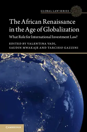 Vadi / Mwakaje / Gazzini |  The African Renaissance in the Age of Globalization | Buch |  Sack Fachmedien