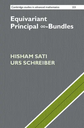Sati / Schreiber |  Equivariant Principal 8-Bundles | Buch |  Sack Fachmedien