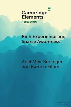 Berlinger / Eitam |  Rich Experience and Sparse Awareness | Buch |  Sack Fachmedien