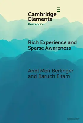 Berlinger / Eitam | Rich Experience and Sparse Awareness | Buch | 978-1-009-75710-2 | www.sack.de