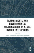 Schonsteiner / Schönsteiner / Krajewski |  Human Rights and Environmental Sustainability in State-Owned Enterprises | Buch |  Sack Fachmedien
