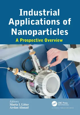 Irene Litter / Ahmad |  Industrial Applications of Nanoparticles | Buch |  Sack Fachmedien