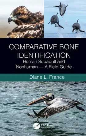 France |  Comparative Bone Identification | Buch |  Sack Fachmedien