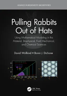 Wollkind / Dichone |  Pulling Rabbits Out of Hats | Buch |  Sack Fachmedien