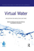 Ray / McInnes / Sanderson |  Virtual Water | Buch |  Sack Fachmedien