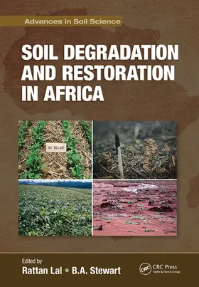 Lal / Stewart |  Soil Degradation and Restoration in Africa | Buch |  Sack Fachmedien