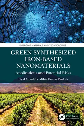 Mondal / Purkait |  Green Synthesized Iron-based Nanomaterials | Buch |  Sack Fachmedien