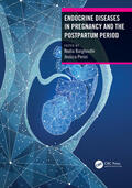 Barghouthi / Perini |  Endocrine Diseases in Pregnancy and the Postpartum Period | Buch |  Sack Fachmedien