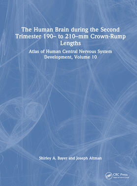 Bayer / Altman | Bayer, S: The Human Brain during the Second Trimester 190- t | Buch | 978-1-03-221940-0 | sack.de