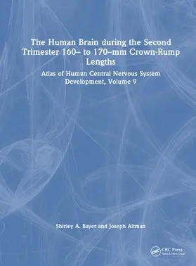 Bayer / Altman |  The Human Brain during the Second Trimester 160– to 170–mm Crown-Rump Lengths | Buch |  Sack Fachmedien