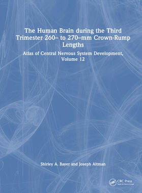 Altman / Bayer | The Human Brain during the Third Trimester 260- to 270-mm Crown-Rump Lengths | Buch | 978-1-03-222876-1 | sack.de
