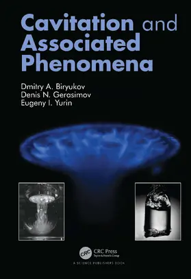 Biryukov / Gerasimov / Yurin |  Cavitation and Associated Phenomena | Buch |  Sack Fachmedien