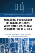 Bamfo-Agyei / Aigbavboa / Thwala |  Measuring Productivity of Labour-Intensive Work Practices in Road Construction in Africa | Buch |  Sack Fachmedien