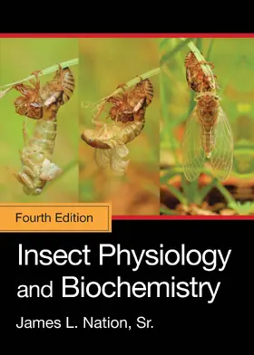 Nation / Nation, Sr. | Insect Physiology and Biochemistry | Buch | 978-1-032-24704-5 | sack.de