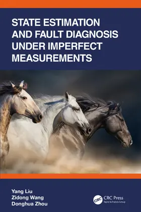 Liu / Wang / Zhou |  State Estimation and Fault Diagnosis under Imperfect Measurements | Buch |  Sack Fachmedien