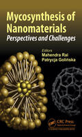 Rai / Golinska |  Mycosynthesis of Nanomaterials | Buch |  Sack Fachmedien